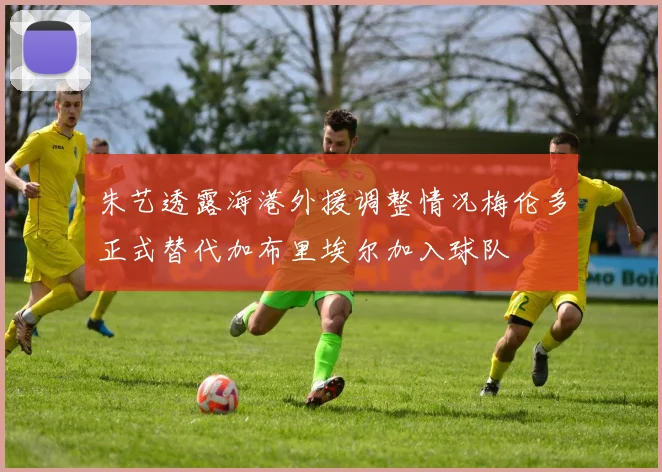 朱艺透露海港外援调整情况梅伦多正式替代加布里埃尔加入球队