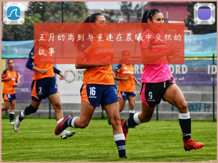 五月的离别与重逢在晨曦中交织的故事