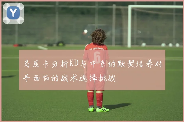 乌度卡分析KD与申京的默契培养对手面临的战术选择挑战